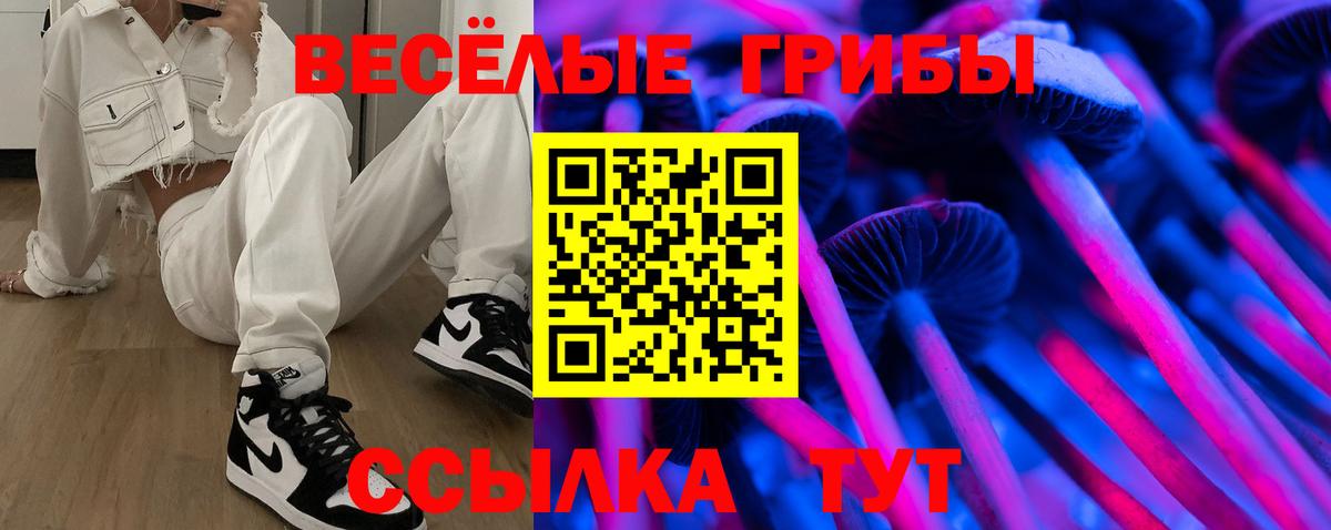 Альфа ПВП Гудермес