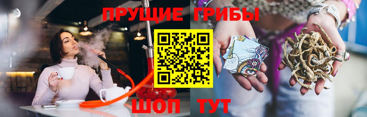 Псилоцибиновые грибы GOLDEN TEACHER Гудермес